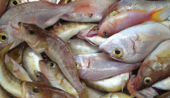 Φτιάξτε την τέλεια παγίδα για τα ψάρια σε 30 δευτερόλεπτα (βίντεο)